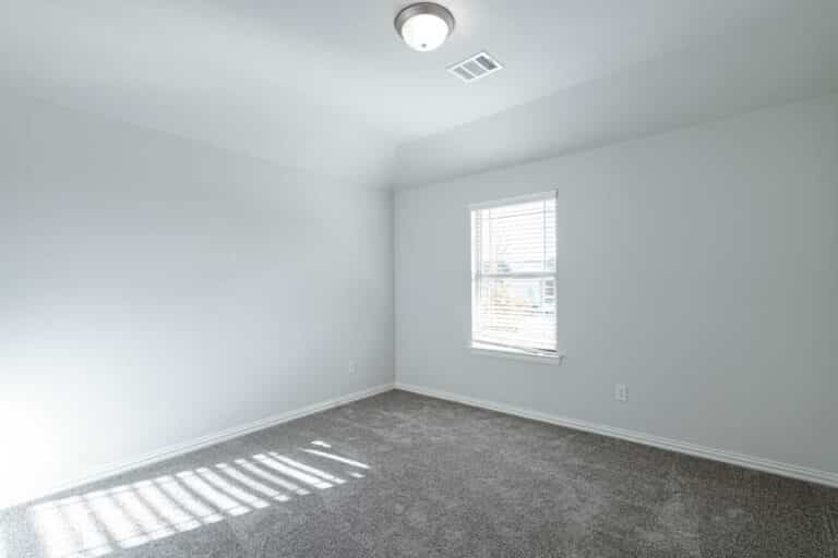 Empty room with grey carpet, white walls, and sunlight coming through a window.